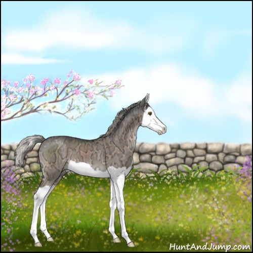 Horse Color:Liver Red Dun Ice Mushroom Splash Brindle 