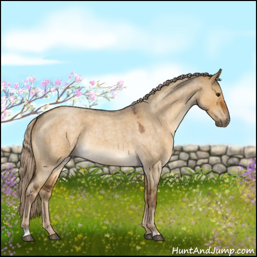 Horse Color:Chocolate Palomino Roan Dun 