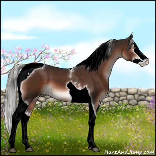 Horse Color:White Spotted Liver Chestnut Mushroom Splash Tobiano 