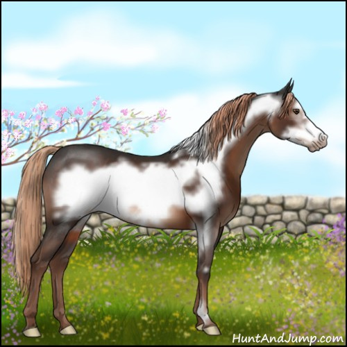 Horse Color:Liver Chestnut Frame 