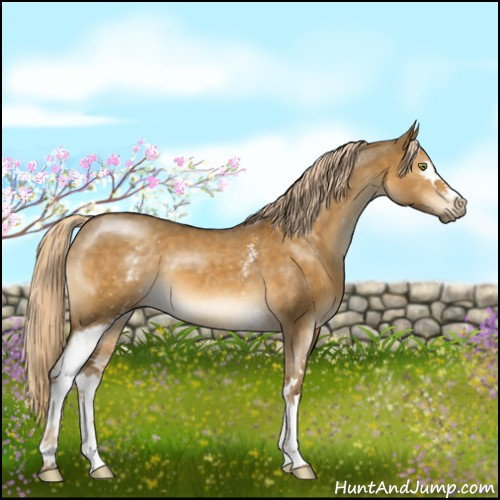 Horse Color:White Spotted Chocolate Palomino Dun Mushroom 
