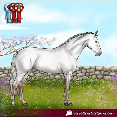 Horse Color:Gray Chocolate Palomino Roan Dun Brindle 
