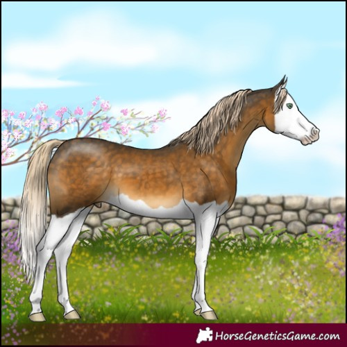 Horse Color:Chocolate Palomino Mushroom Splash 