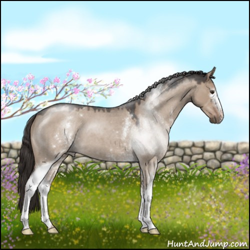 Horse Color:White Spotted Liver Red Dun Roan 