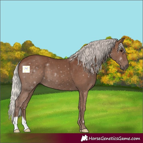 Horse Color:Silver Black 
