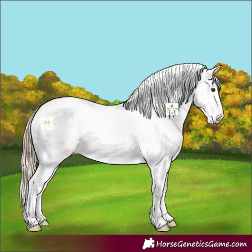 Horse Color:White Spotted Red Ice Roan Splash 
