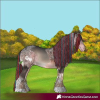 Horse Color:Painted Blue Onyx Rabicano  and Painted Brown Ice Rabicano 