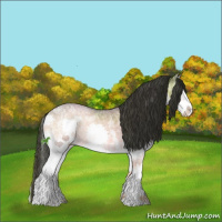 Horse Color:White Spotted Buckskin Ice Onyx Splash 