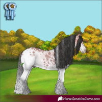 Horse Color:White Spotted Bay Chinchilla Dun Mushroom Sabino Splash