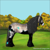 Horse Color:White Spotted Brown Ice Onyx Sabino Splash Varnish 