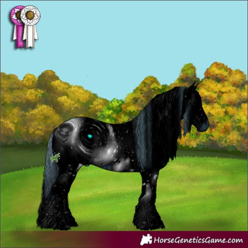 Horse Color:ERROR: UNKNOWN ANOMALY
