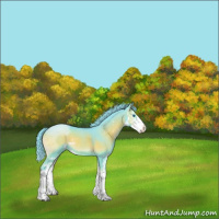 Horse Color:Watercolor Chocolate Blue Onyx Sabino Splash 