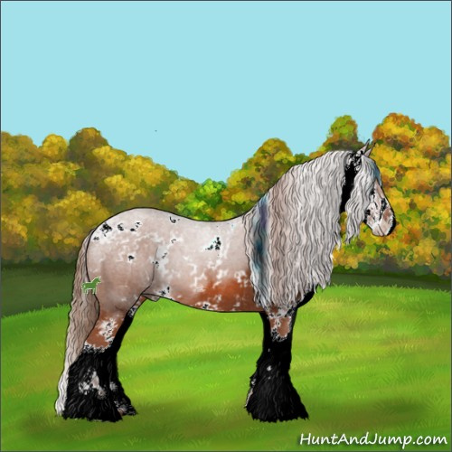 Horse Color:Chestnut Sabino 
