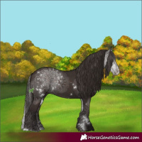 Horse Color:White Spotted Liver Chestnut Sabino