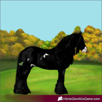 Horse Color:Liver Chestnut Chinchilla Ice Sabino Splash 