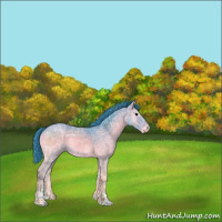 Horse Color:Watercolor Blue Onyx Ice Sabino 