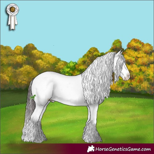 Horse Color:Black Ice Sabino Splash 