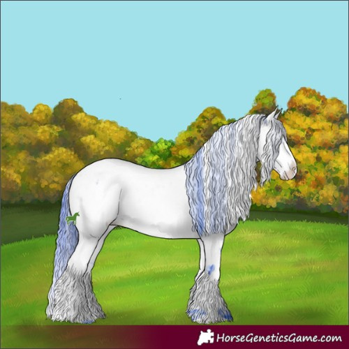 Horse Color:Watercolor Bay Ice Sabino Splash Appaloosa 