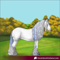 Horse Color:Watercolor Bay Ice Sabino Splash Appaloosa 