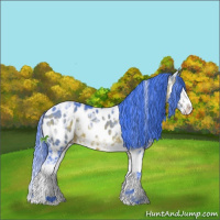 Horse Color:Watercolor Bay Ice Sabino Splash Appaloosa 