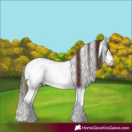 Horse Color:Chocolate Buckskin Sabino Splash 