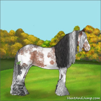 Horse Color:White Spotted Brown Splash Rabicano 