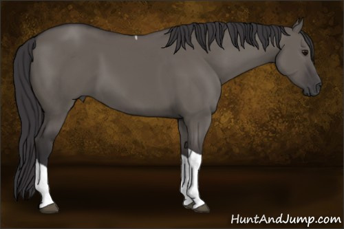 Horse Color:Buckskin Dun Tobiano 