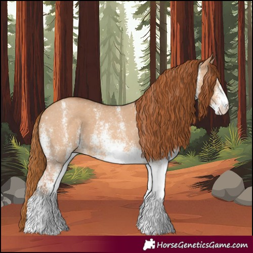 Horse Color:White Spotted Red Dun 