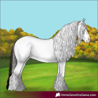 Horse Color:White Spotted Liver Red Dun 