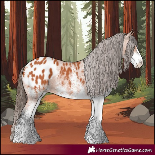 Horse Color:White Spotted Bay Blanket