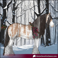 Horse Color:White Spotted Bay Dun