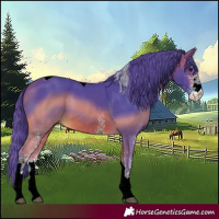 Horse Color:Watercolor White Spotted Brown Tobiano 