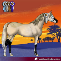 Horse Color:ERROR: UNKNOWN ANOMALY