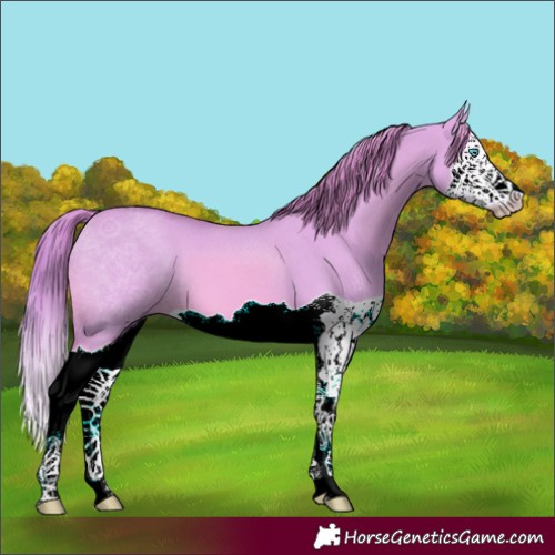 Horse Color:Watercolor Red Dun Splash 