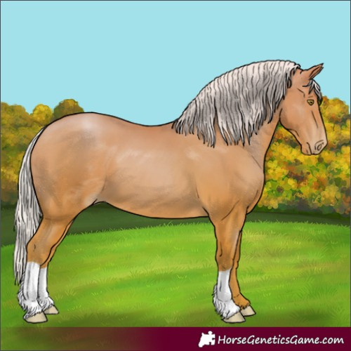 Horse Color:Silver Bay Pearl