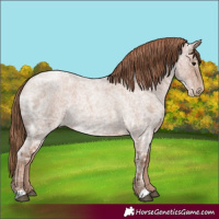 Horse Color:Blue Ice Roan Pearl 