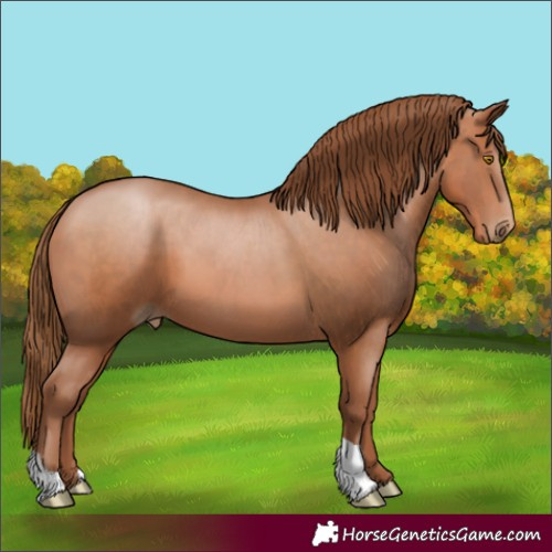 Horse Color:Brown Pearl 