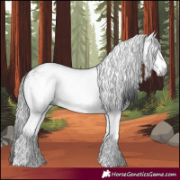 Horse Color:Gray White Spotted Brown Rabicano 