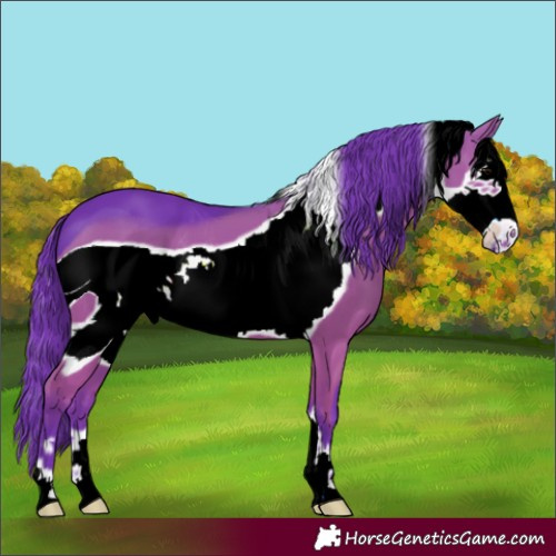 Horse Color:ERROR: UNKNOWN ANOMALY