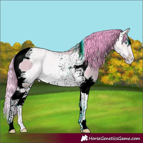 Horse Color:ERROR: UNKNOWN ANOMALY