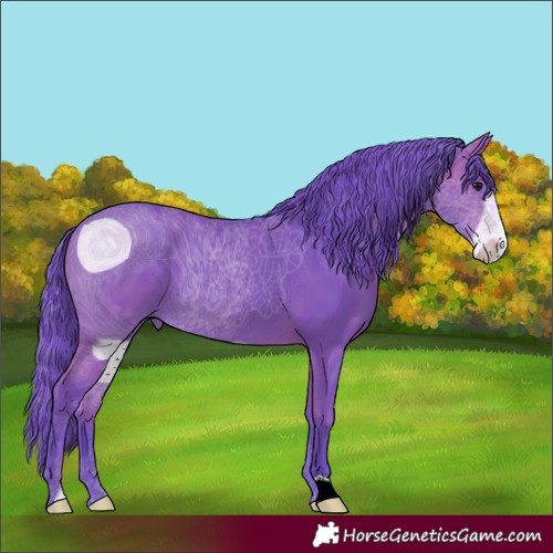 Horse Color:ERROR: UNKNOWN ANOMALY
