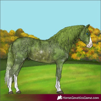 Horse Color:Watercolor Chestnut Ice Splash