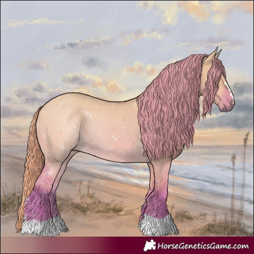 Horse Color:Watercolor Red Dun