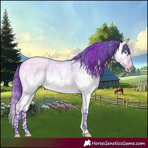 Horse Color:Watercolor White Spotted Buckskin Roan Dun Splash