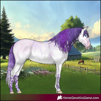 Horse Color:Watercolor White Spotted Buckskin Roan Dun Splash 