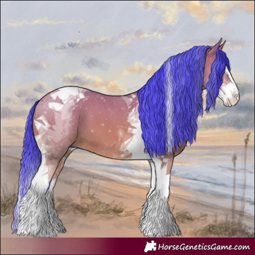 Horse Color:Watercolor Bay Splash Tobiano