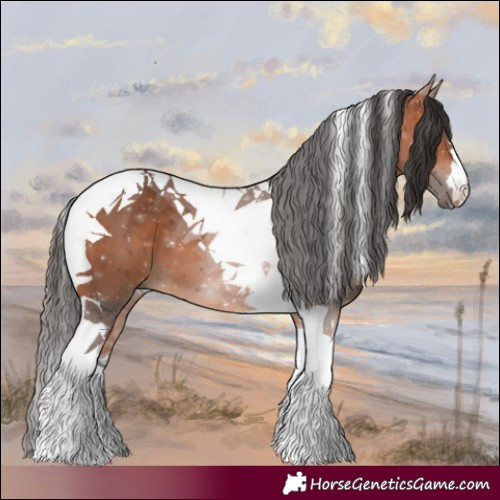 Horse Color:Bay Tobiano