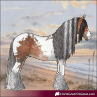 Horse Color:Bay Tobiano 