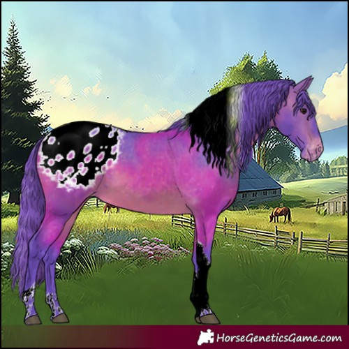 Horse Color:Watercolor Brown Tobiano Appaloosa 