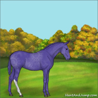 Horse Color:Watercolor Black 